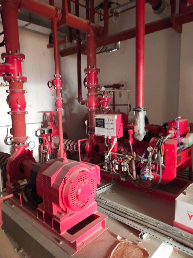 whatsapp image 2026 03 17 at 11.11.27 am